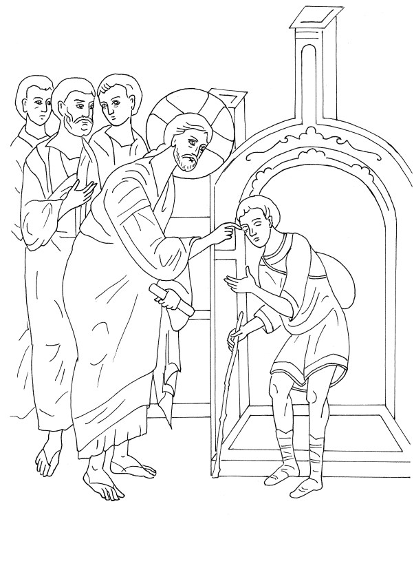 Слепородения 11